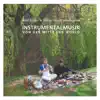Wolf Müller & niklas wandt - Instrumentalmusik von der Mitte der World
